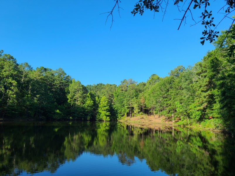 Troy Arboretum, United States
